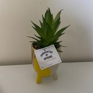Fake succulent - Nordstrom Rack